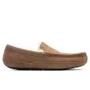 Ugg Ascot Slipper - Chestnut