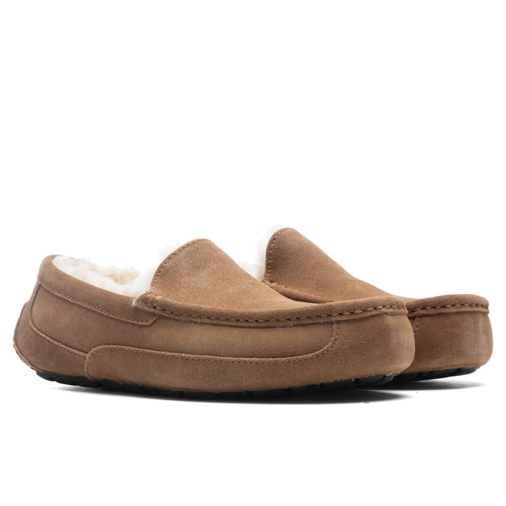 Ugg Ascot Slipper - Chestnut 2 Ugg Ascot Slipper - Chestnut - Image 2