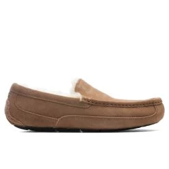 Ugg Ascot Slipper - Chestnut
