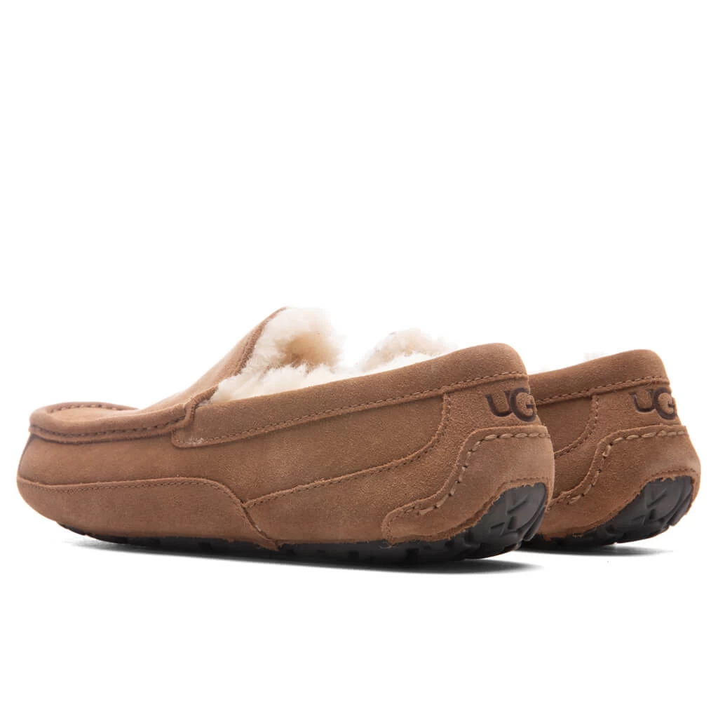 Ugg Ascot Slipper - Chestnut 3 Ugg Ascot Slipper - Chestnut - Image 3
