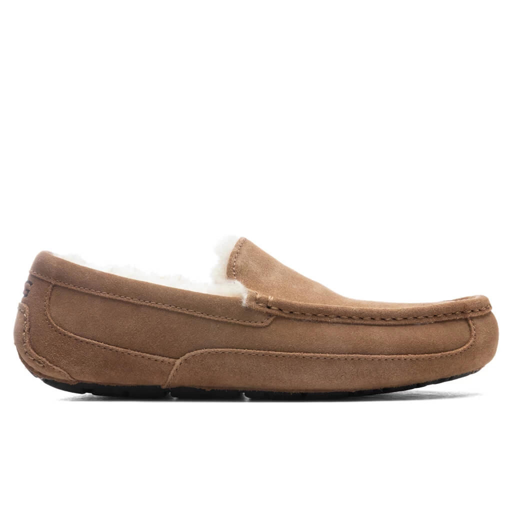 Ugg Ascot Slipper - Chestnut 1 Ugg Ascot Slipper - Chestnut