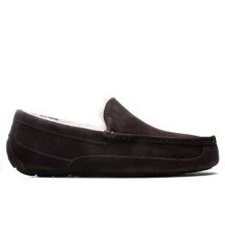 Ugg Ascot Slipper - Espresso