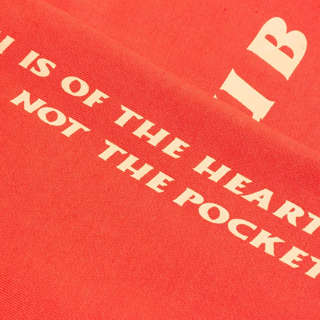 BB Aesthetics Jogger - Cayenne 6 BB Aesthetics Jogger - Cayenne - Image 6